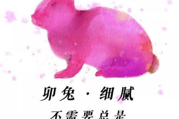 2025属兔要小心一个人_兔的贵人第一名