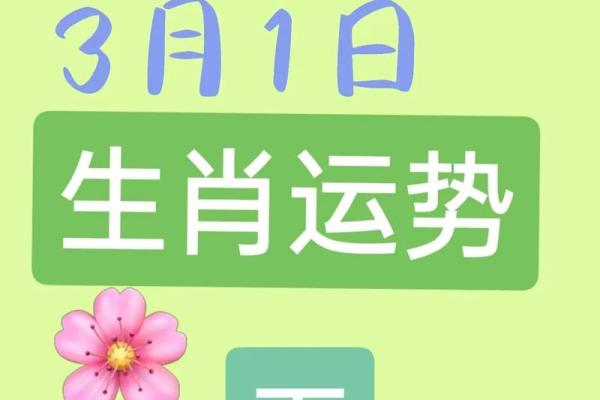 1979年属羊人2025年运势运程全解析生肖运势大揭秘