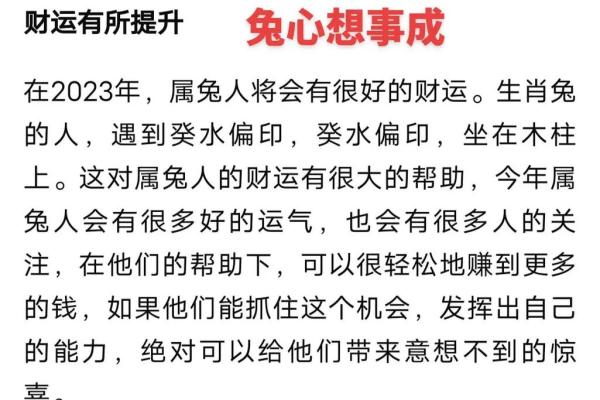 2023年十一月属兔偏财运解析2023年11月生肖兔今日财运
