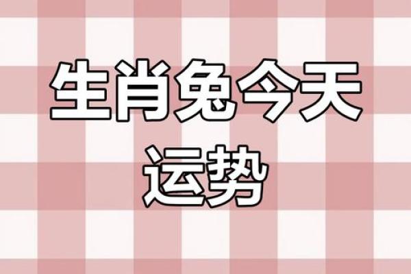 87年的兔2025年的运势怎么样_1987年属兔人2025年运势详解机遇与挑战全解析
