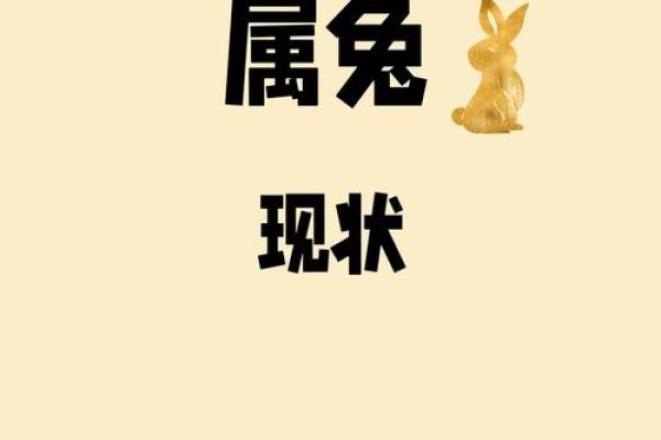 1987年属兔今年多大_2023年十一月属兔年龄解析2023年11月87年兔今年多大
