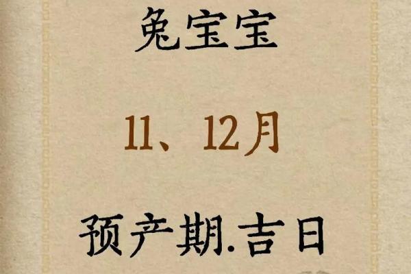 2011属兔今年多大 2023年十一月属兔年龄解析2023年11月2011年生人岁