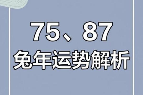 2025属兔多大_2025属兔多大岁数