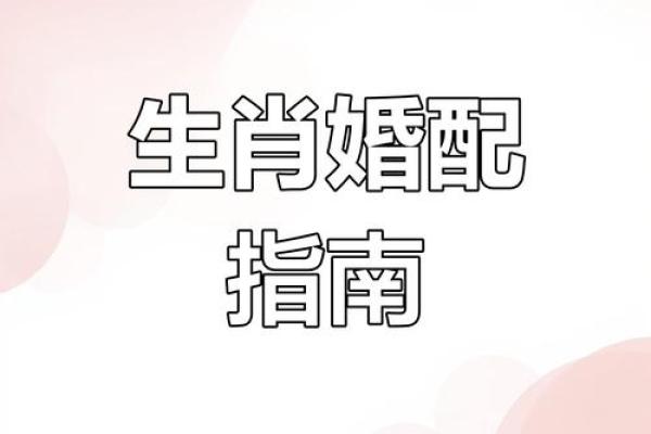 属马女和属羊男适合做夫妻吗生肖婚配解析