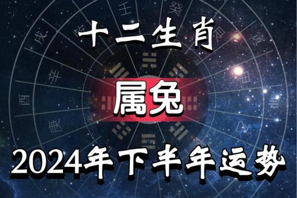 51年属兔寿命活多少 2023年农历冬月属兔寿命解析51年兔人健康预测