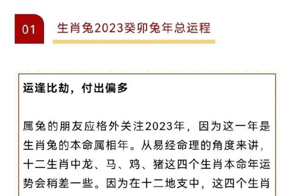1987兔年2025年运势及运程_1987年属兔的在2025年怎么样