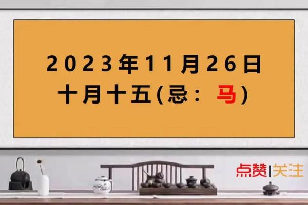 属兔今日运势最准_2023年十月属兔今日运势最准2023年10月生肖兔运程解析