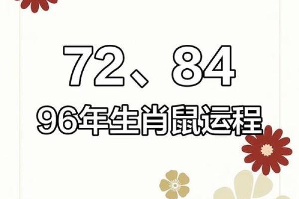 1996年属鼠2024年运势及运程 1984属鼠2025年运势