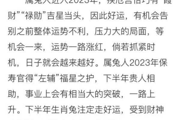 2011年属兔的今年多大了_2023年十月属兔今年多大2023年10月年龄查询解析