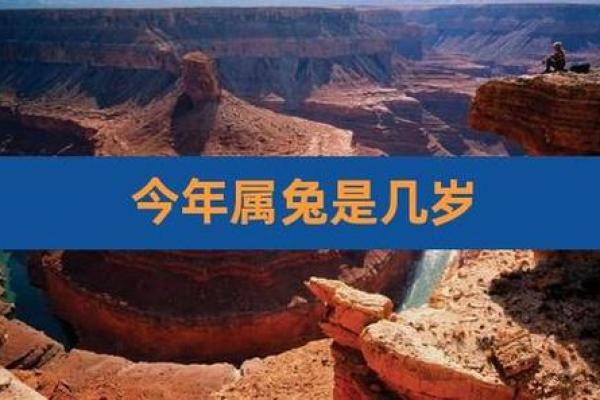 1999属兔的今年多大_2023年十月年龄测算1999年属兔2023年10月多大