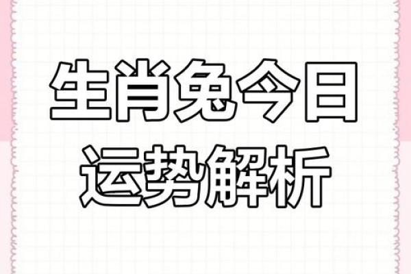 1999年2025年属兔人的全年运势_1999年属兔人2025年全年运势详解每月运程指南