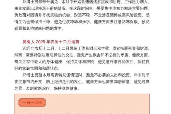 87年兔2025年的运势及运程 1987年兔2025运势及运程每月运程