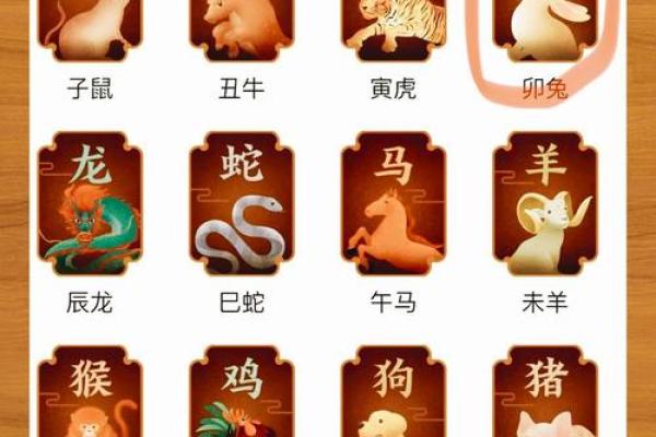 2025年兔年运势_2025年兔年十一月运势解析2025年11月生肖运程指南