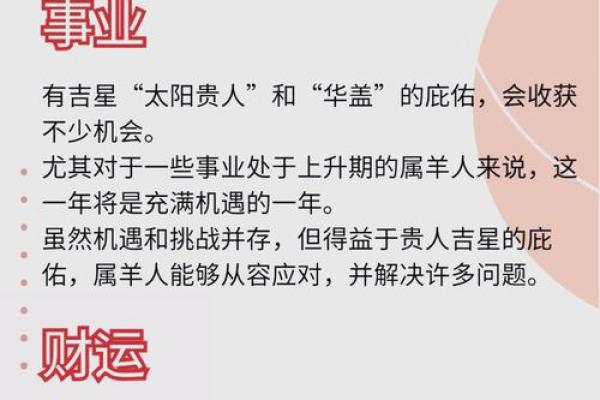 属羊的命运好不好深度解析生肖羊一生运势吉凶