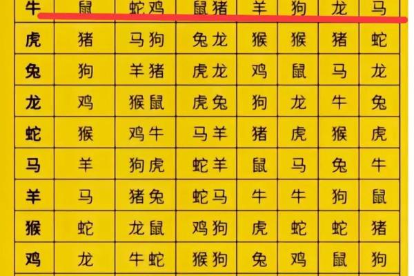 女属龙男属兔婚姻般配吗_女属龙男属兔的合不合得来