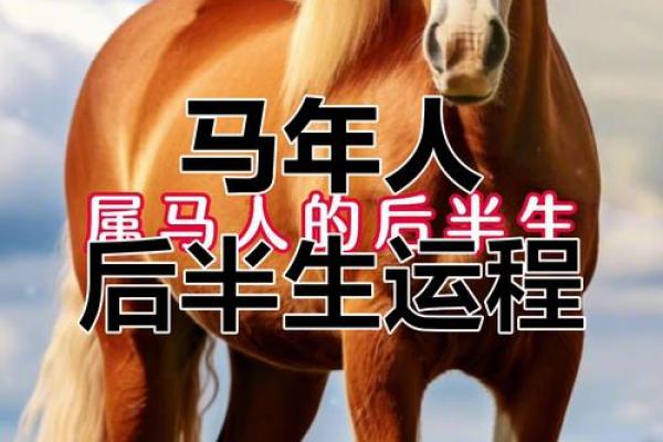 1990年属马2026年运势详解丙午年运程吉凶预测