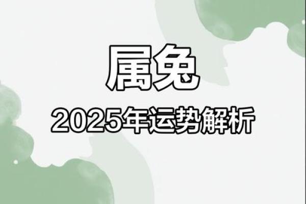 2025年属兔运势全解析全年各月运程指南