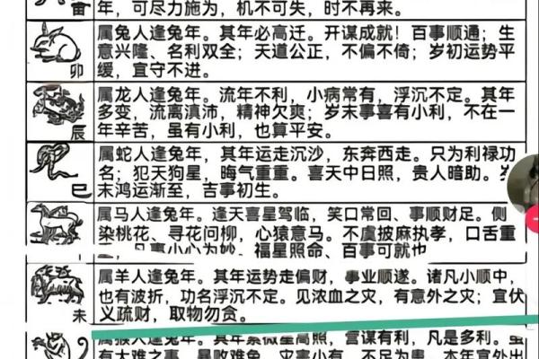 2025年属羊人运势 2025年属羊人运势及运程每月运程详解