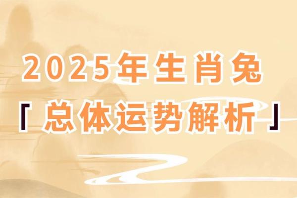 1975年2026年属兔人的全年运势_25年属兔人的全年运势及运程