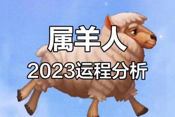 2003年属羊人2024年运势及运程_2003羊年女孩命运