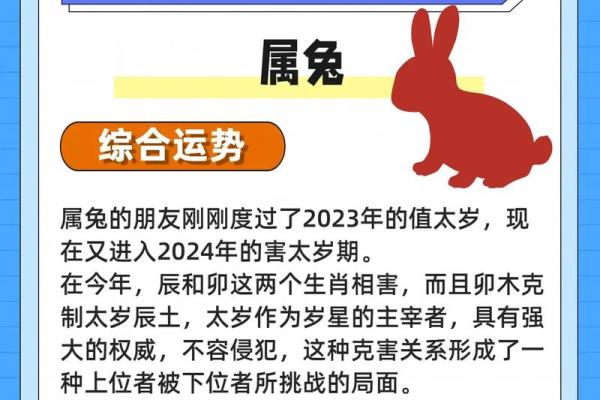 2025年属兔人 2025年属兔人的财运怎么样