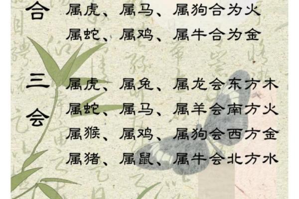 2003年属羊五行属什么命一生命运解析