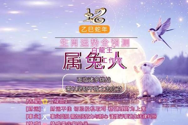 2024年属兔人的全年运势_属兔人2025年运势及运程
