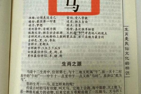 2028年属什么生肖揭秘未来年份的生肖属性