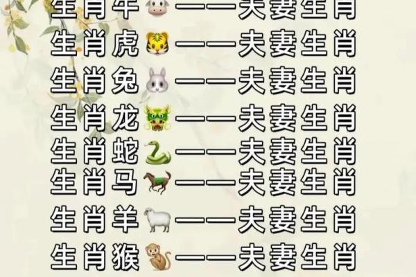 九三年属什么生肖_九三年属什么生肖揭秘1993年出生者的生肖秘密