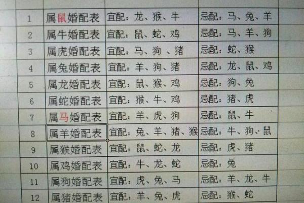 九三年属什么生肖_九三年属什么生肖揭秘1993年出生者的生肖秘密