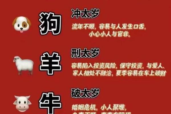 属龙的今年多大了_属龙的今年多大了2023年属龙人年龄详解