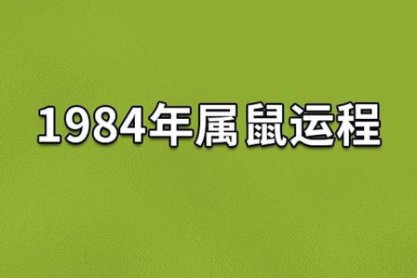 属鼠双子座命最差揭秘命运背后的真相