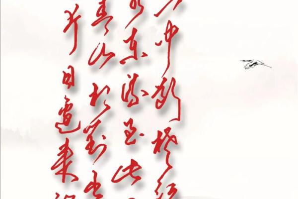 孤帆一片日边来揭秘生肖背后的神秘寓意