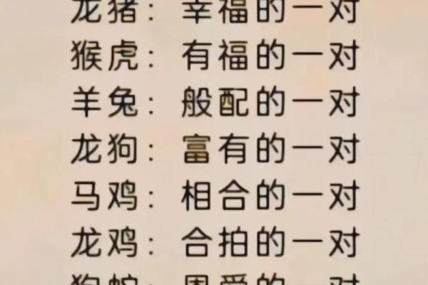 属相猪最佳配对指南揭秘最合拍的生肖组合