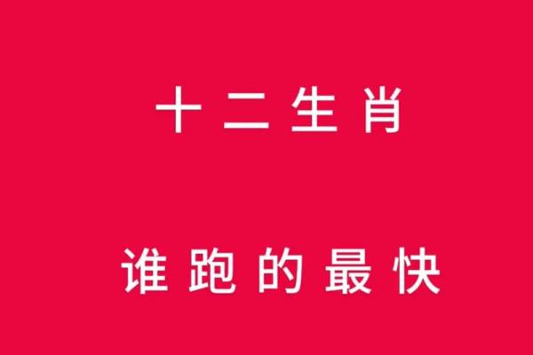 脑子最笨的3个生肖_脑子最笨的3个生肖看看你上榜了吗