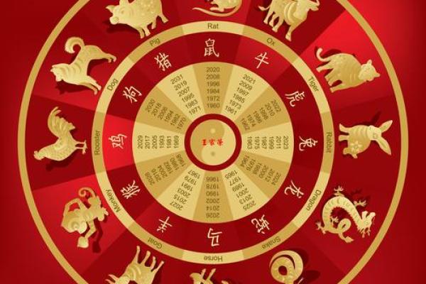 2010属什么生肖年_今日属什么生肖黄历