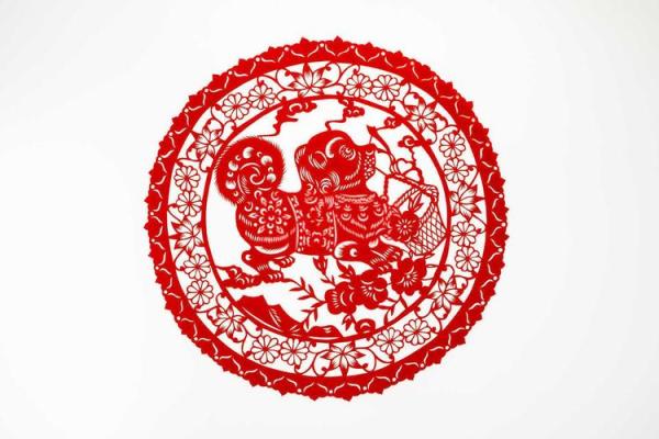什么属相适合养鸟_适合养鸟的生肖