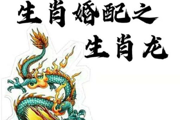 77年一月份属龙还是蛇_77年一月属什么