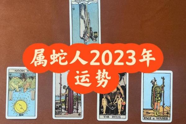 2023年属蛇人横财运解析财富机遇与运势预测