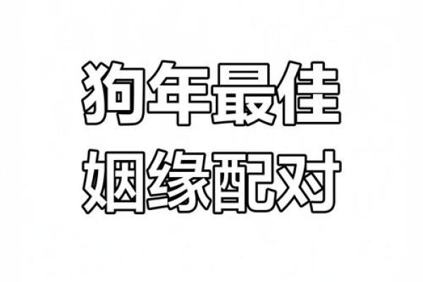 1994年属什么生肖配对最好 1994年狗配什么属相婚姻好