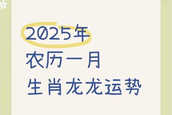 2025年属龙财运_2025年属龙财运如何