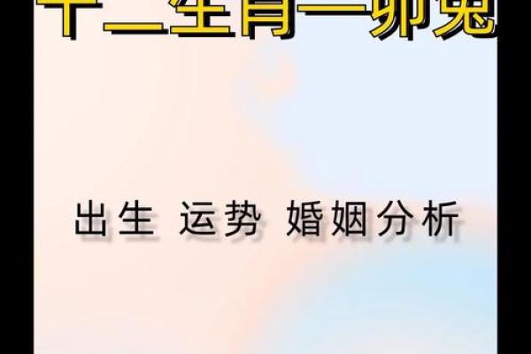 属兔年是哪家年_属兔人是哪年的