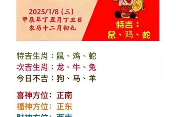 2025年属龙全年运势详解事业财运爱情全面解析