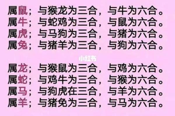 属鼠和属虎的姻缘如何 男鼠女虎千万别在一起