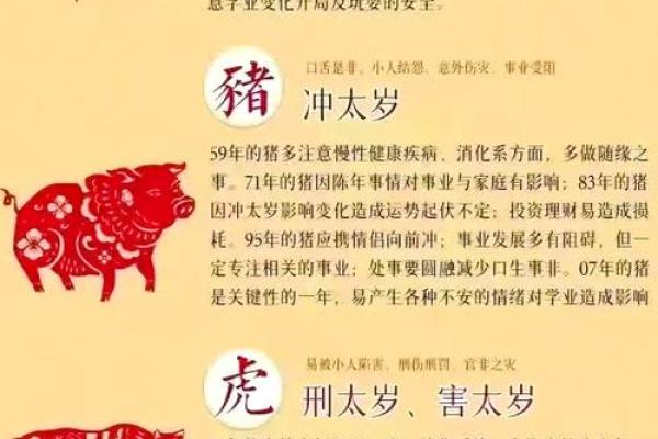 兔年犯太岁的五个属相_2021年兔犯太岁最严重